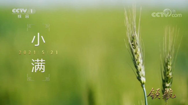 《领航》总导演闫东：用激情拥抱时代，以责任打造精品。