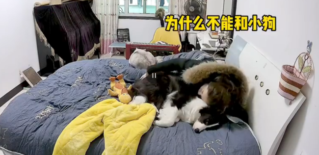 一下就把上班的痛苦转移了