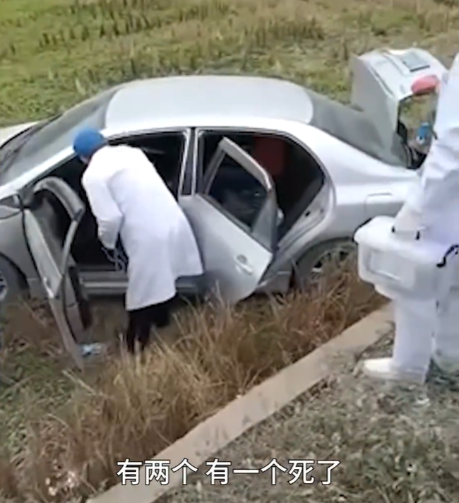 广西玉2人毒杀狗被发现后驾车掉下路基一死一伤 网友呼吁大家不吃狗肉
