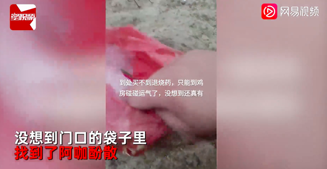 男子没买到退烧药，在家养鸡房找到1年前喂鸡剩的药，竟有意外收获