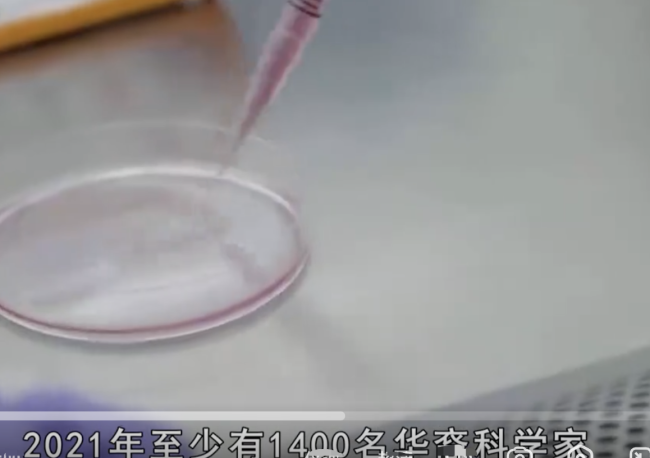 1400名华裔科学家返回中国发展