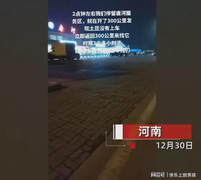 女子开了300公里发现把狗忘在服务区 还好狗狗乖乖在原地等她