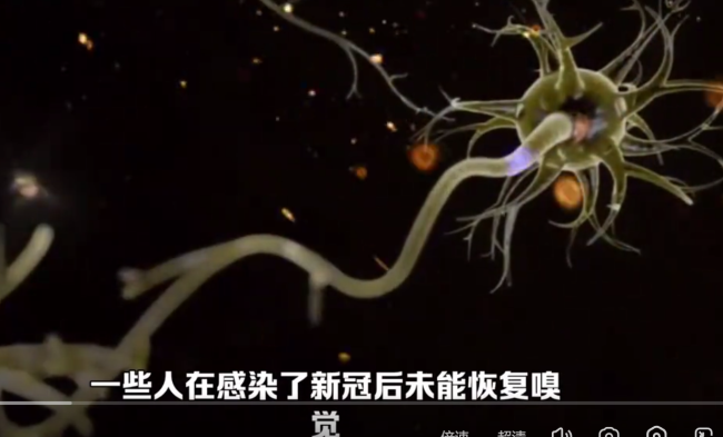 感染新冠后失去嗅觉，原因找到了