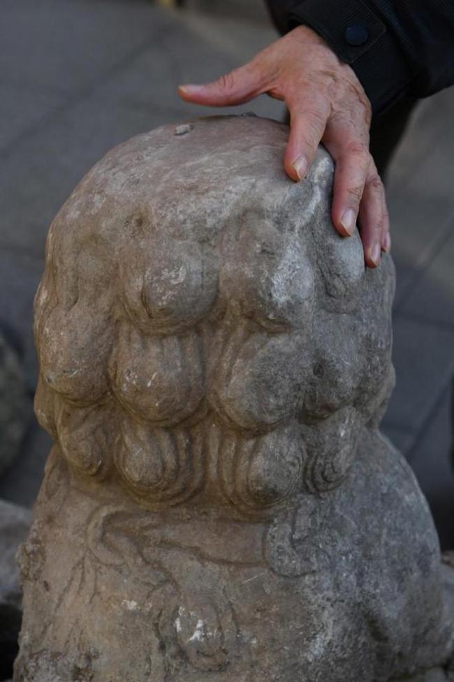 六岁男童郊野游玩 发现疑似明代石狮，这份新年礼物网友羡慕了！