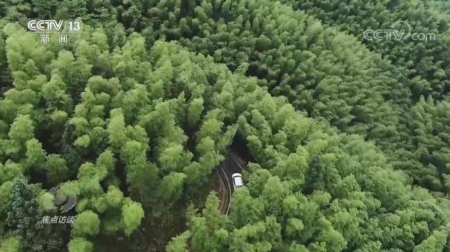 焦点访谈：总书记的牵挂 神山村又换新颜