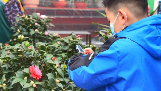 新华全媒+丨广西：迎春花市绽放新春“暖”意