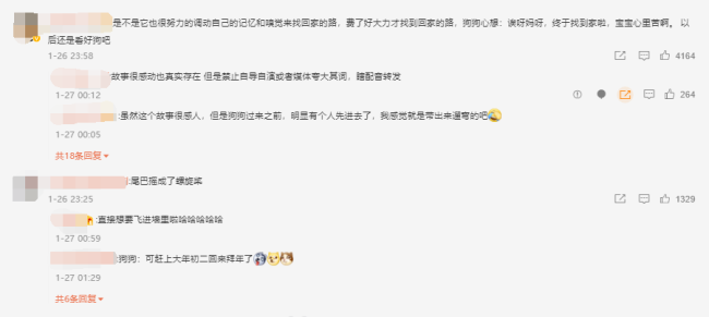 狗狗走失一个月回家狂撞门