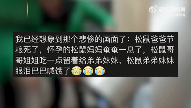 女子将松鼠囤的板栗一锅端最终归还