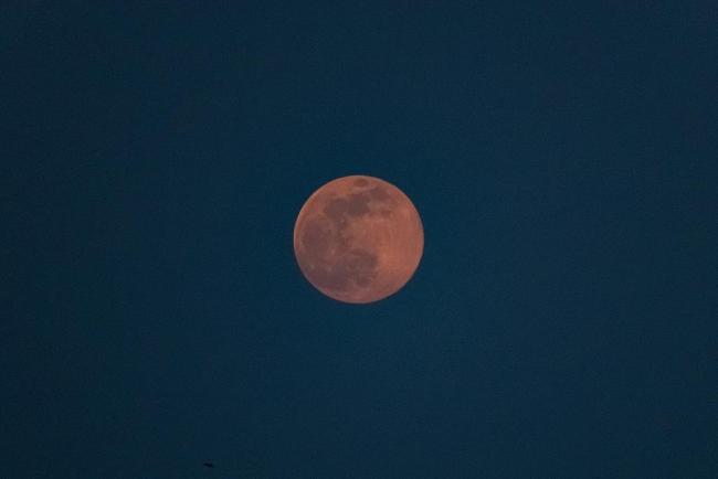 今年元宵节月亮很“迷你” 年度最小满月将上线