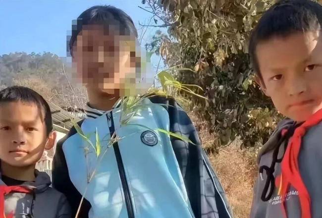 12岁双胞胎放羊失联 胡鑫宇事件重演还是走丢了？