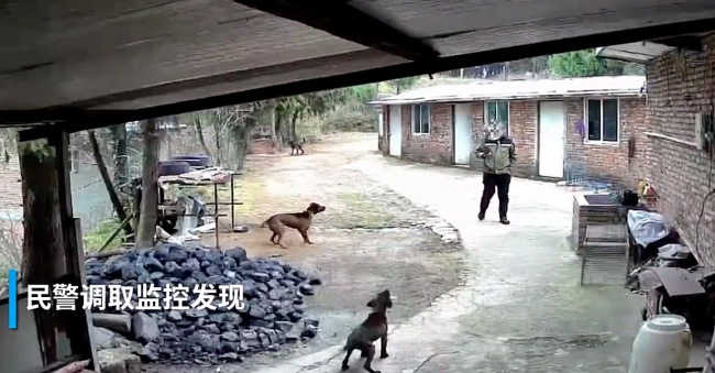 男子为讨好女友偷狗送礼：女友的孩子喜欢狗没钱就偷了！