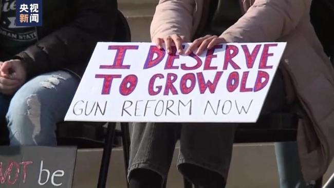抗议者要求美国密歇根州政府立法结束枪支暴力