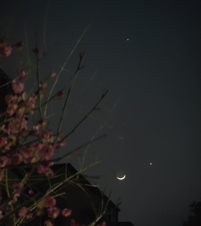 星月浪漫 今晚金星伴月現身天宇