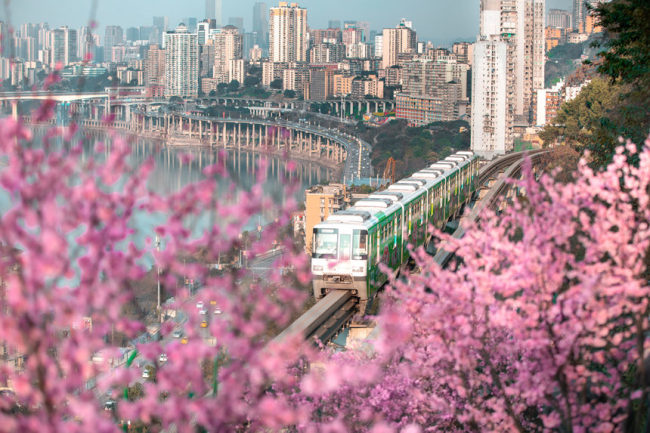 重庆建成世界规模最大山地城市轨道交通网