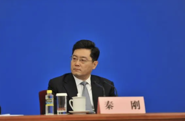 外交部长秦刚将出席二十国集团外长会  