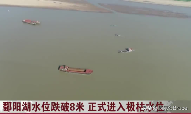 鄱阳湖又枯了，水位线跌破8米，水量补给不足，鱼群该如何生存？
