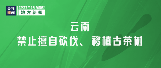 明日起，这些新规将影响你我生活