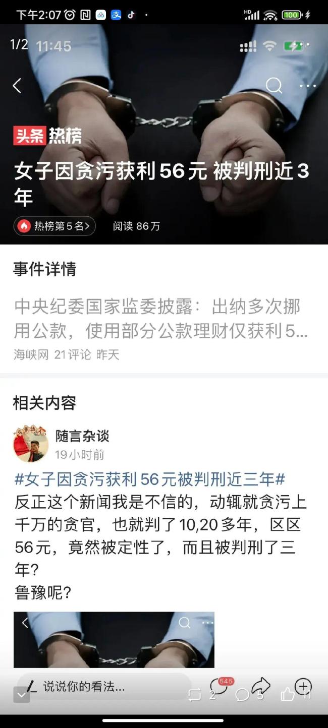 女子贪污获利56元获刑 网友:是真有点刑在身上的