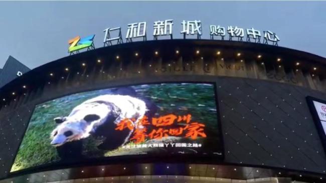 商场为丫丫无偿投放海报 纷纷喊话丫丫“在四川等你回家”   