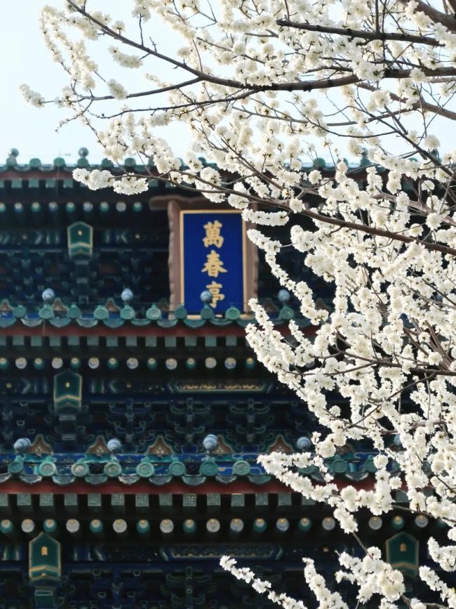 惊蛰习俗有哪些？起来看看吧↓