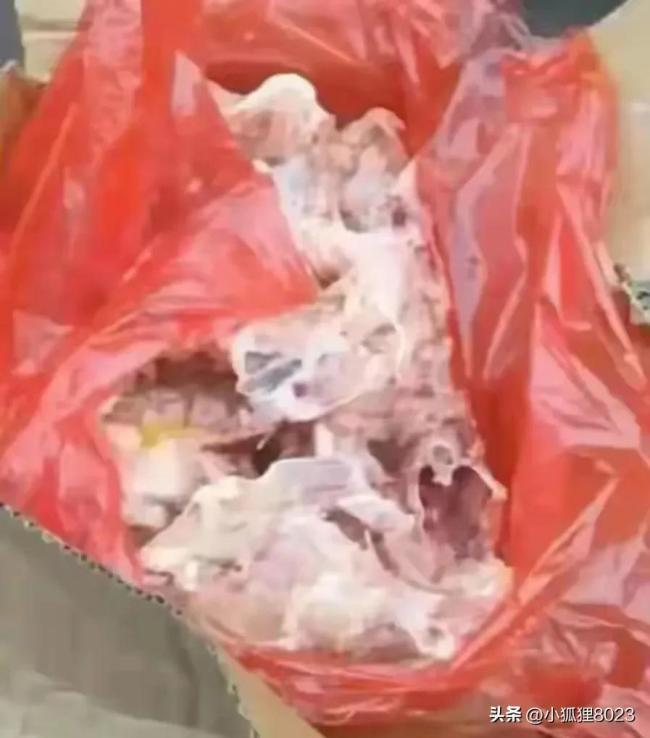 贵族学校却现“黑心食堂”：劣质当正品，狗粮充食材实属太过分！