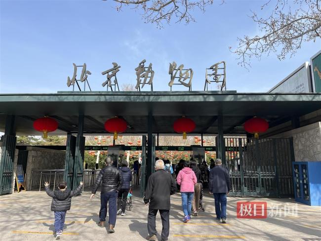 丫丫未来不一定展出 工作人员称无法给出确切的回复    