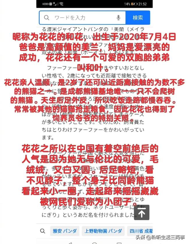 日本网友评价大熊猫花花 香香回国后地位不稳？