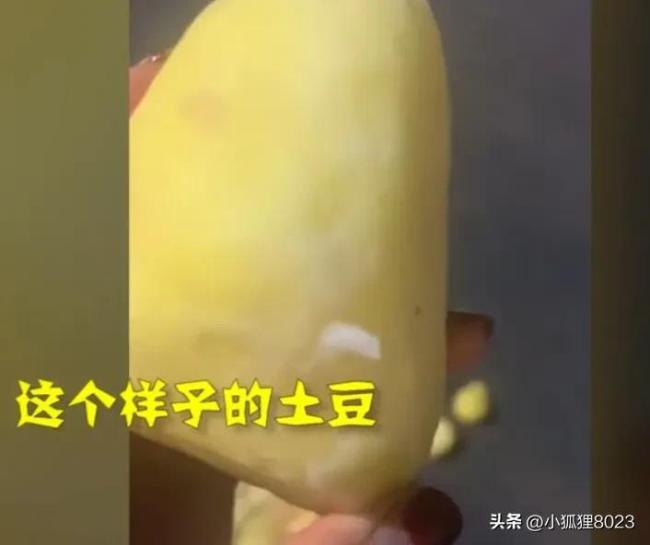 贵族学校却现“黑心食堂”：劣质当正品，狗粮充食材实属太过分！