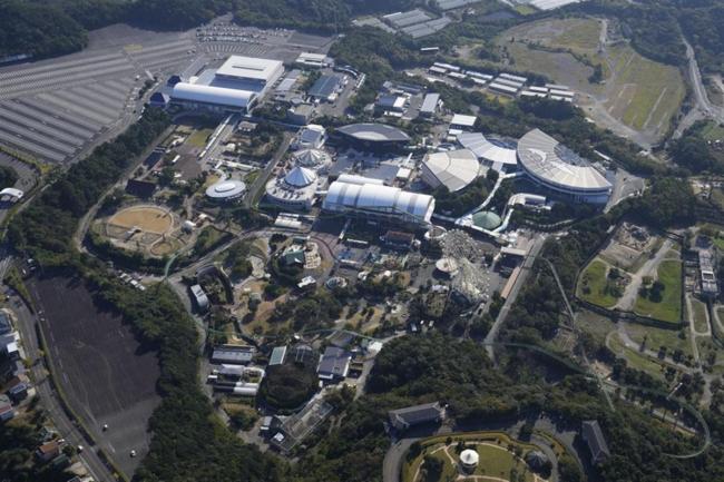 日本动物园两头狮子因感染新冠死亡 疑似被饲养员传染