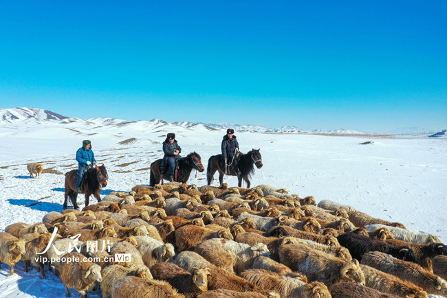 新疆阿勒泰：民警协助牧民转场