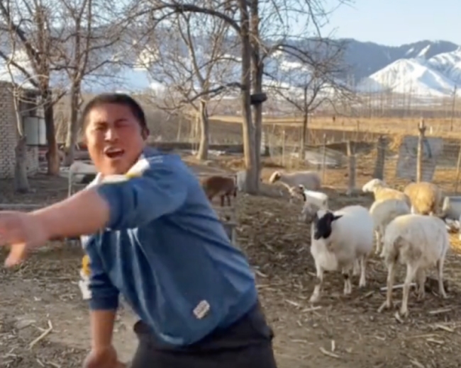 男子镜头前嗨舞被羊顶翻，羊：我忍你很久了