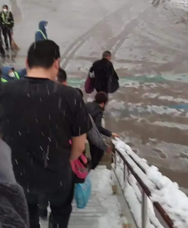 男子从三亚回郑州被冷懵 前一秒露腰下一秒穿貂