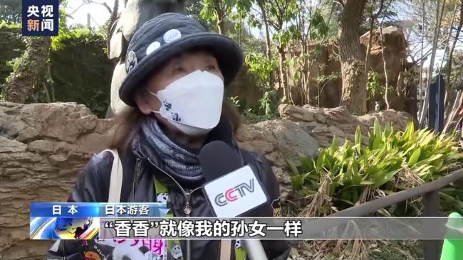 熊猫香香隔离检疫期结束：现在还有些怕见不熟悉的人