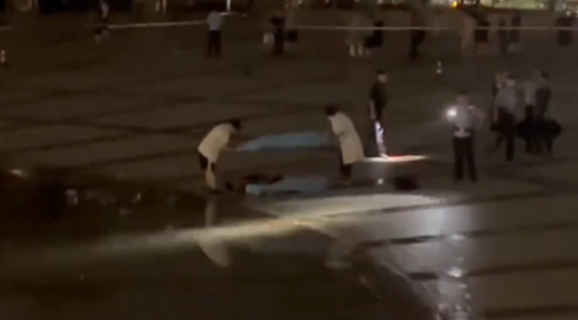 浙江温州两人遭雷击身亡 