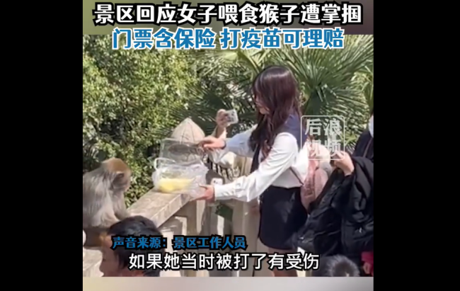 女子给猴子喂食被掌掴 景区回应