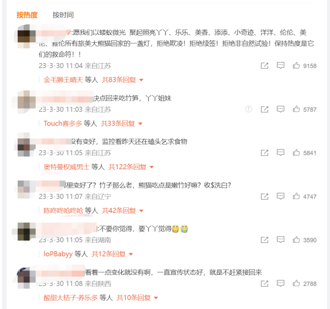 北京动物园已正式收到通知 将参与丫丫回国护送工作