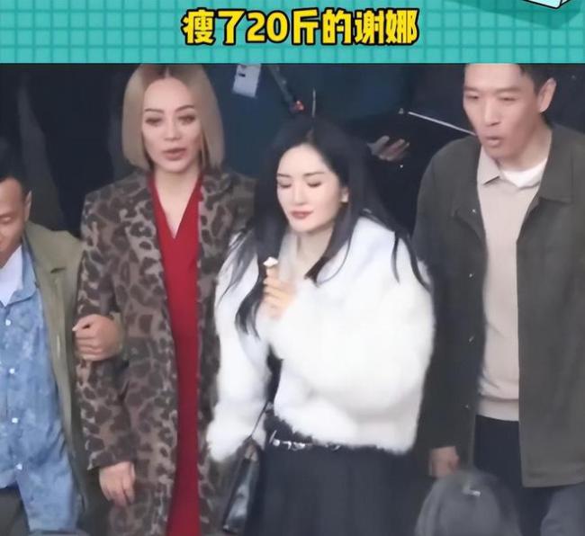 瘦了20斤的谢娜被人错以为是杨幂？谢娜要回归芒果台了吗