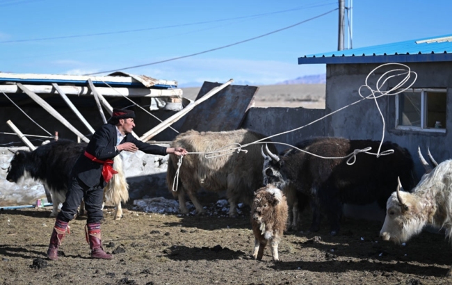 全球连线丨悦动天山：帕米尔高原上的牦牛骑士