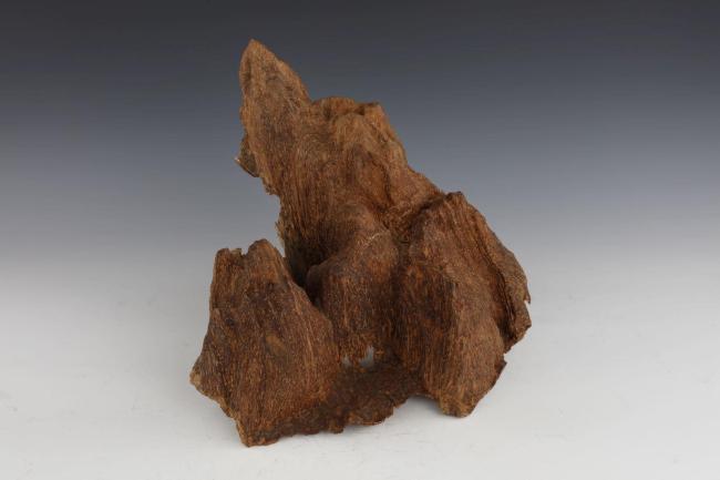 文博日历丨清代黎族人如何找沉香?