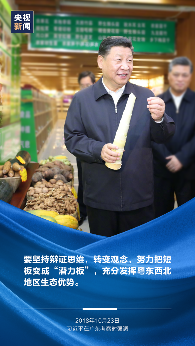 四次考察广东，总书记殷殷嘱托