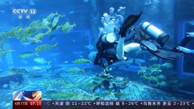 潜水、骑行、轮滑……这个春天这些消费引领新趋势→