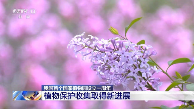 我国首个国家植物园设立一周年