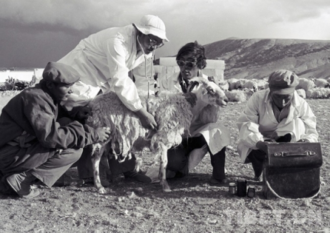 【藏北故事】现代高端业为藏北畜牧业生产带来新的福音