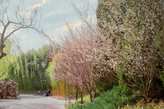 “翰墨春风——当代中国画名家作品展”3月29日在北京市紫竹院公园问月楼开幕