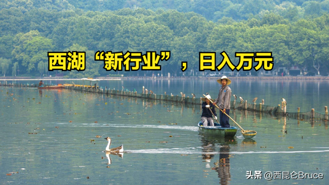 新行业？五一假期一男子在西湖捞手机日入一万，网友调侃：缴税吗