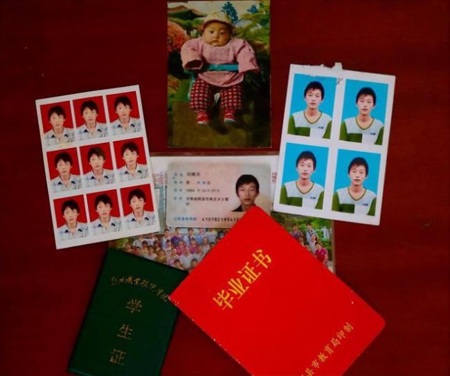 大学生掏鸟窝案最新进展：即将出狱 被判10年终于要回来了