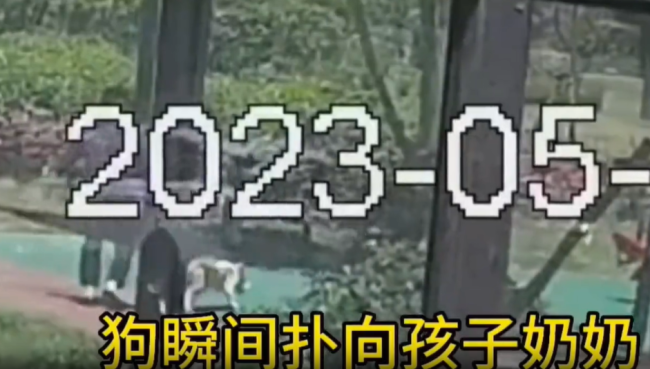 被打成脑震荡男童已出院，警方通报：检察院已提前介入