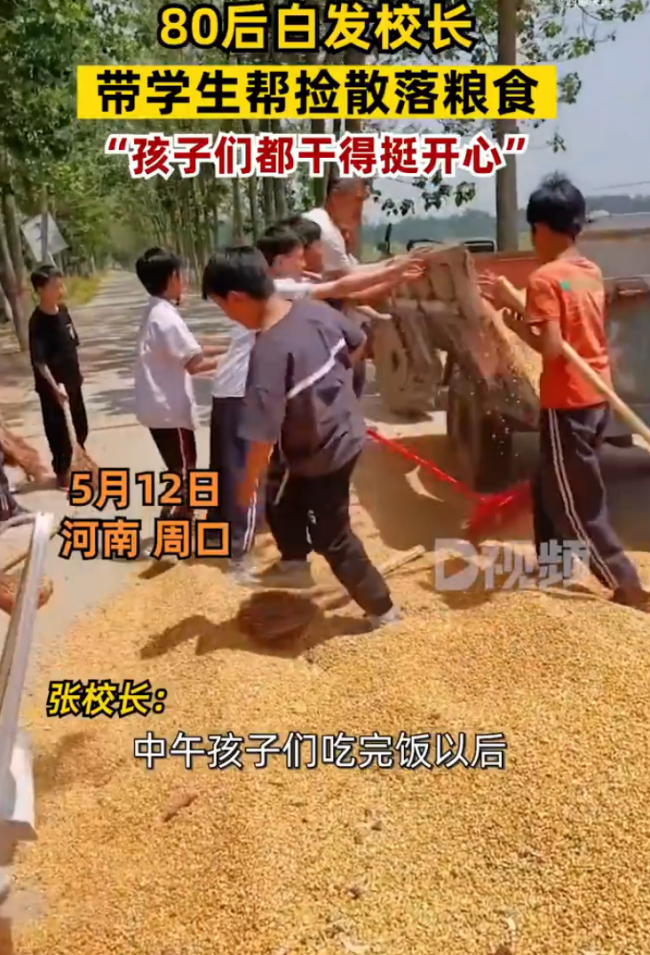 河南一辆农用车故障粮食撒满地，校长带学生捡散落的粮食