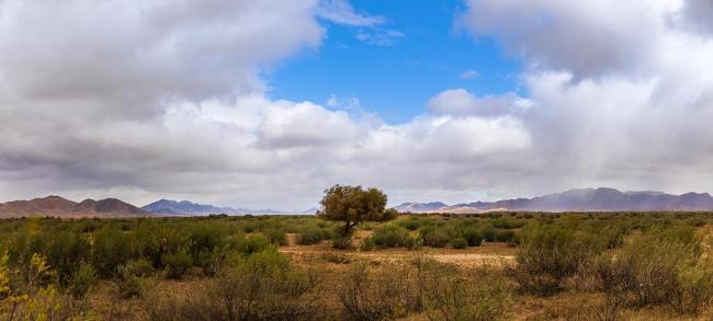 除了“中华第一龙” 了解红山文化还得看看这朵云