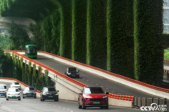 2023年5月23日，成都，高架桥下爬满碧绿的爬山虎。视觉中国